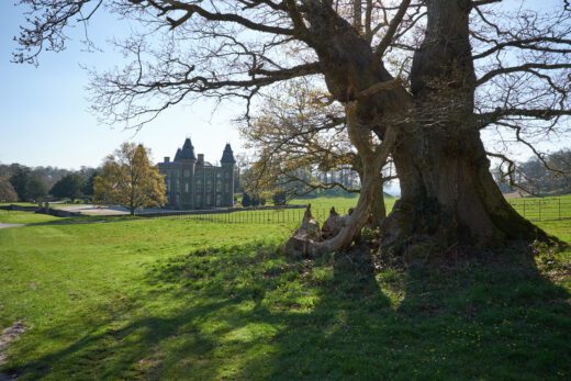 Dinefwr Park in Carmarthenshire