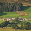 Laverock Holiday Cottages has plenty of room for dogs to enjoy