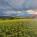 There are fantastic views at Laverock Holiday Cottages