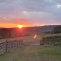 Enjoy the sunsets at Laverock Holiday Cottages