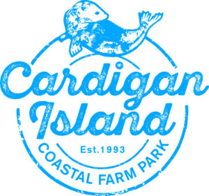 Cardigan Island Coastal Farm Park welcomes dogs