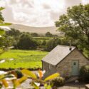 West Wales Holiday Cottages have dog friendly properties in Carmarthenshire, Ceredigion and Pembrokeshire