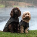 Brompton Lakes in Yorkshire