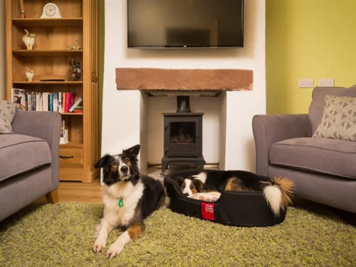 The Cats Bield, Keswick in the Lake District is dog friendly