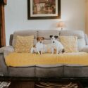Scotchcoulthard Holiday Cottages, Northumberland
