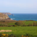 Seaview Caravan Park in Cornwall is dog friendly