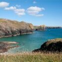 Seaview Caravan Park in Cornwall is dog friendly
