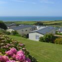 Gorselands Caravan Park in Dorset is dog friendly