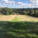 Nutley Edge dog friendly cottages in Sussex